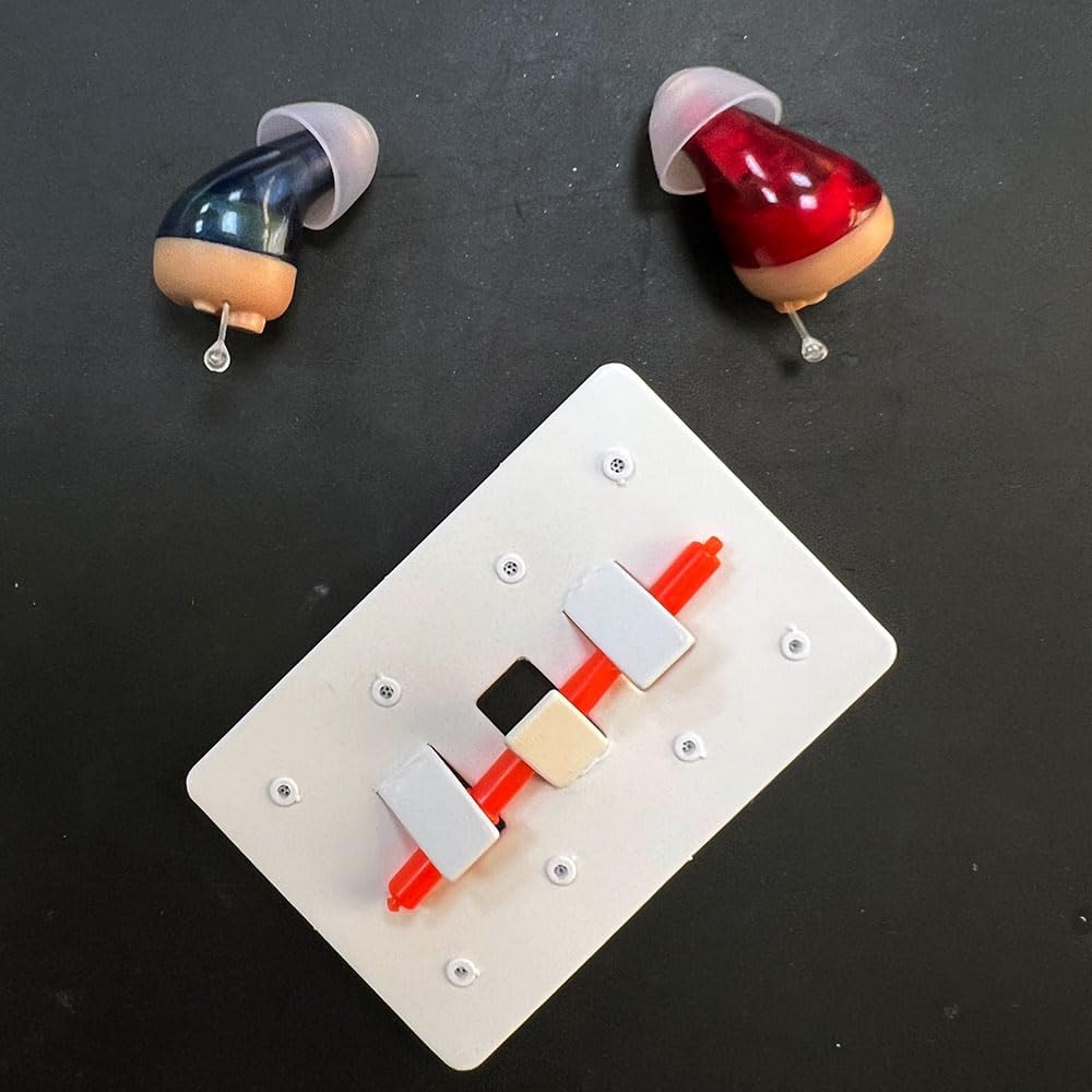 Hearing aids with ear wax guard filter replacement tool